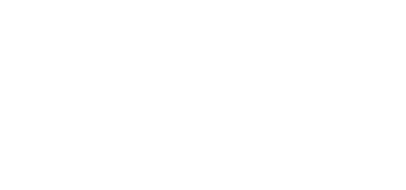 Bracchi Collezioni